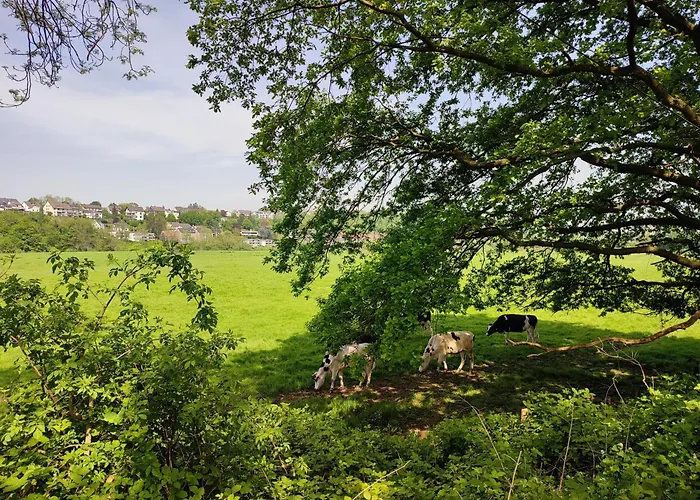 58- Ruhr Nah *
